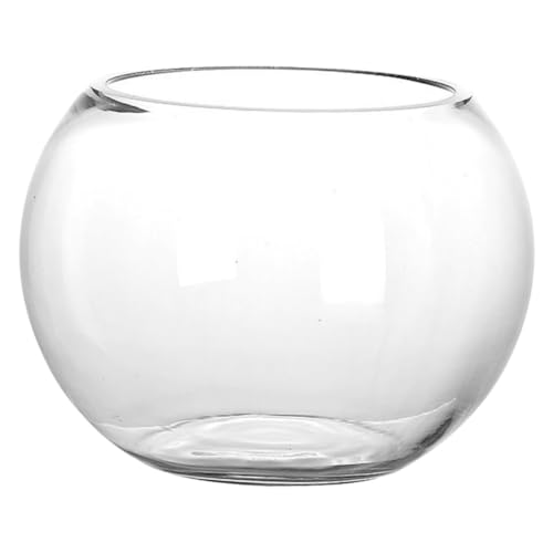 INOOMP Fischbowl Aquarium Für Hydroponische Pflanzen Transparente Runde Vase Als Terrarium Für Und Büro Dekorative Blumentopf Für Sukkulenten Und Betta-Fische INOOMP Fischbowl Aquarium Für Hydroponische Pflanzen Transparente Runde Vase Als Terrarium Für Und Büro Dekorative Blumentopf Für Sukkulenten Und Betta-Fische von INOOMP