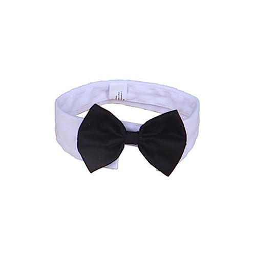 INOOMP Fliege- - -Fliege- - Haustier-krawattenhalsband - Clip-on-fliegen Für Größe L von INOOMP