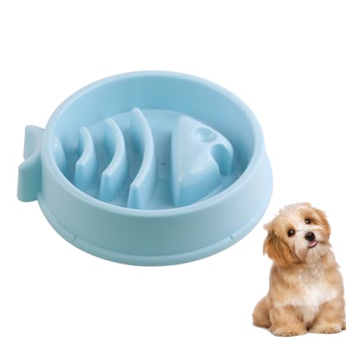 INOOMP Futterautomat für Haustiere Slow Feeder Napf für Katzen Feeder pet Supplies haustierbedarf Futternapf für langsame Fütterung Anti-Choke-Haustiernapf rutschfest Zubringer INOOMP Futterautomat für Haustiere Slow Feeder Napf für Katzen Feeder pet Supplies haustierbedarf Futternapf für langsame Fütterung Anti-Choke-Haustiernapf rutschfest Zubringer von INOOMP