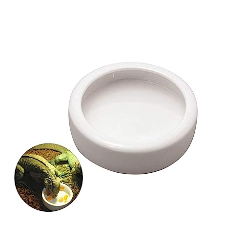 INOOMP Keramik Futternapf Für Garnelen Und Reptilien Rund 9,5cm Anti Eskaper Futter Und Wassernapf Für Aquarien Und Terrarien von INOOMP