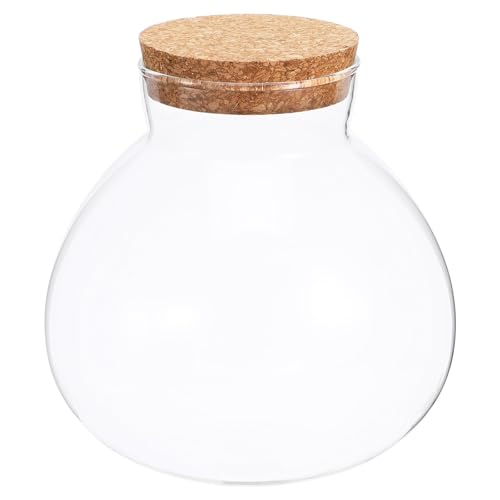 INOOMP Glas-Pflanzen-Terrarium Glas-Moos-Flasche Rundes Glasgefäß Glas-Pflanzgefäß Pflanzen-Terrarium Hauswünsche-Flasche Bonbonglas 14 cm/5. 5 Zoll von INOOMP