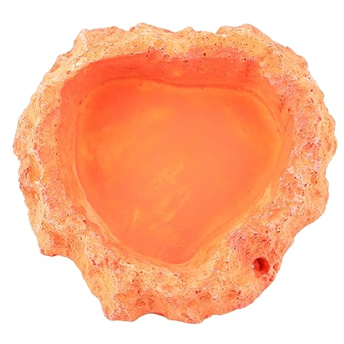 INOOMP Reptilien Futter Und Wasserschale Robuste Fütterungsplatte Für Schildkröten Und Echsen rutschfeste Oberfläche Geruchsneutral Leicht Zu Reinigen Für Kleine Reptilien Orange INOOMP Reptilien Futter Und Wasserschale Robuste Fütterungsplatte Für Schildkröten Und Echsen rutschfeste Oberfläche Geruchsneutral Leicht Zu Reinigen Für Kleine Reptilien Orange von INOOMP