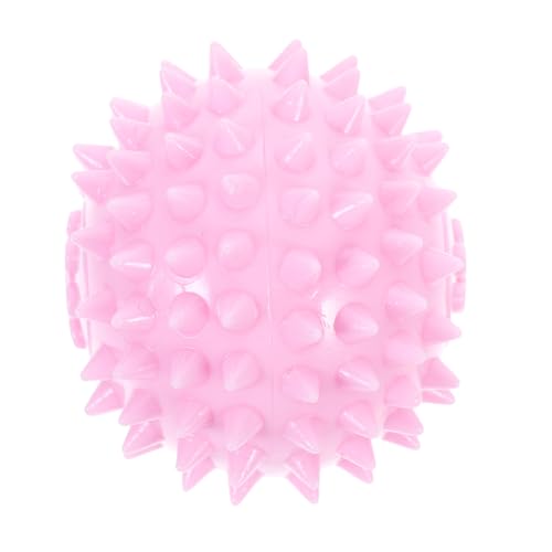 INOOMP Pet Chew Toys Für Hunde Und Katzen Interaktive Kauspielzeuge Für Unzerstörbare Spielbälle Zahnpflege Für Kleine Hunde Und Tiere Farblich von INOOMP