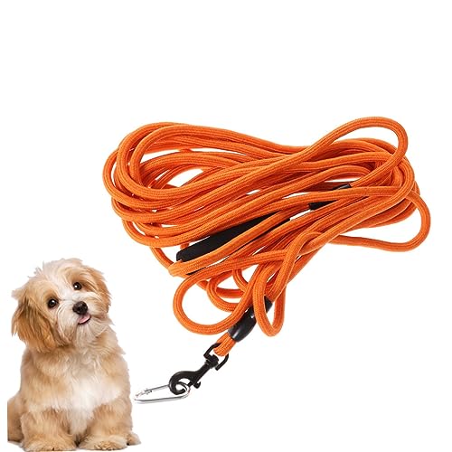 INOOMP Haustierzubehör Seilleine ziehen Dealspet-Zubehör Abschleppgurt deutlich Hundeleine hundebedarf hundeartikel Zugband für Haustiere Traktionsgurt für Hunde Laufen Leinen Kettenblatt INOOMP Haustierzubehör Seilleine ziehen Dealspet-Zubehör Abschleppgurt deutlich Hundeleine hundebedarf hundeartikel Zugband für Haustiere Traktionsgurt für Hunde Laufen Leinen Kettenblatt von INOOMP