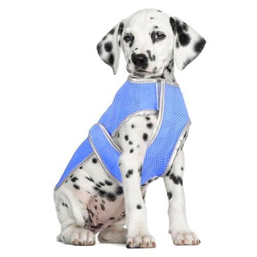 INOOMP Hund Für Den Sommer Leichte Jacke Hundeshirt Uv-Schutzgeschirr Für Outdoor-Aktivitäten Mit Atmungsaktivem Netz (Größe M) von INOOMP