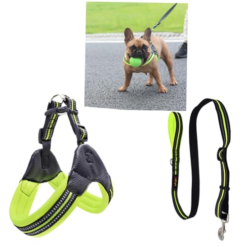 INOOMP Atmungsaktives Reflektierendes Hundegeschirr Mit Für Tägliche Und Läufe Im Fruchtgrünen Muster Verstellbar Gefertigt INOOMP Atmungsaktives Reflektierendes Hundegeschirr Mit Für Tägliche Und Läufe Im Fruchtgrünen Muster Verstellbar Gefertigt von INOOMP