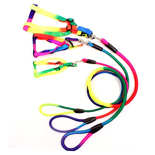 INOOMP Rainbow Farben Hundehalsband Und Verstellbares Geschirr Für Kleine Und Mittelgroße Hunde Material Langlebig Und Für Und Training INOOMP Rainbow Farben Hundehalsband Und Verstellbares Geschirr Für Kleine Und Mittelgroße Hunde Material Langlebig Und Für Und Training von INOOMP