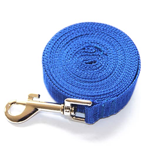 INOOMP Hundetraining führen Haustierleine Lange Leine Kanarienvogel Nest Kettenleine Hundegürtel hundegurt hundelaufband Hundeleine Heimtiertraining führen Trainingsleine für Hunde Blue INOOMP Hundetraining führen Haustierleine Lange Leine Kanarienvogel Nest Kettenleine Hundegürtel hundegurt hundelaufband Hundeleine Heimtiertraining führen Trainingsleine für Hunde Blue von INOOMP
