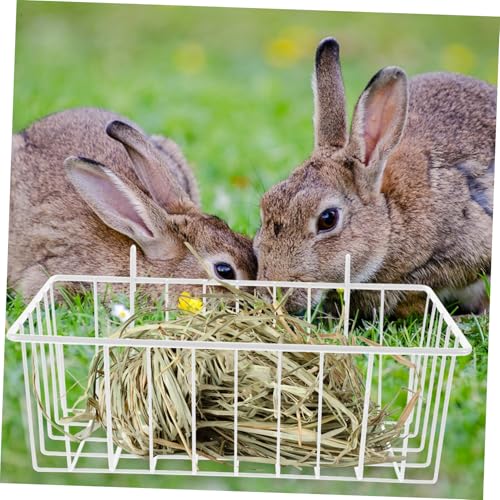 INOOMP Kaninchen Heufutterspender Mittel Weiß aus Metall Drahtkorb Futterhalter für Käfig Hängend Geeignet für Kaninchen Meerschweinchen Chinchilla und Kleintiere INOOMP Kaninchen Heufutterspender Mittel Weiß aus Metall Drahtkorb Futterhalter für Käfig Hängend Geeignet für Kaninchen Meerschweinchen Chinchilla und Kleintiere von INOOMP