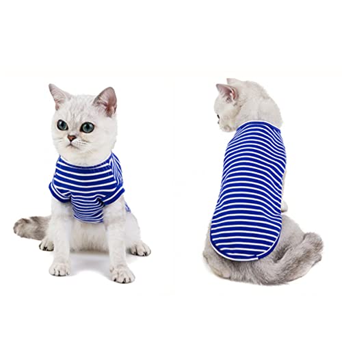 INOOMP Kleidung mit Katzenstreifen Meerschweinchen-Gymnastikball Hundekotschaufel Katzenkostüm Katzenschädel weißes Hemd Katzenkleidung Hemd mit Katzenstreifen Haustier Shirt schön kurz von INOOMP