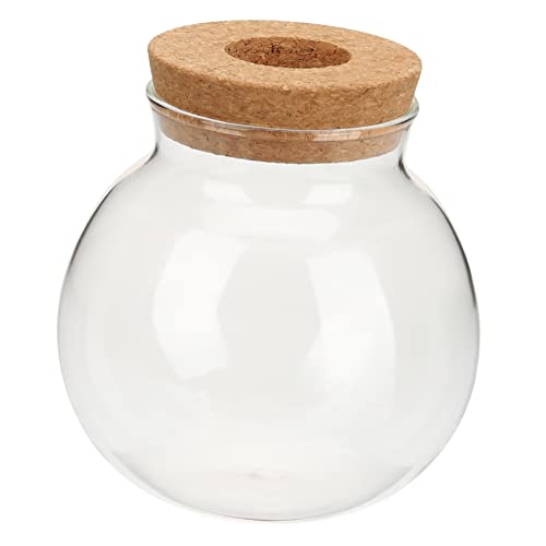 INOOMP Kleine Ballvase runden Wasser- Topfpflanze groß Pflanzen buchregal Dekoration bürodeko air Purifier hausdeko wasserbepflanzung Terrarium Hydroponische Tischvase hölzern Transparent von INOOMP