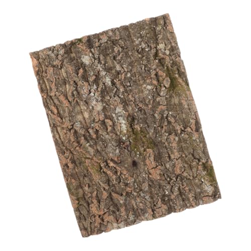 INOOMP Klettern Pet Box Hintergrundbrett Aquarium Drachen Insektengehege Kleine Aquariendekoration Katzenkäfig Haken Wurf Schildkröte Kork Zusammenklappbar Dekorationen Für Aquarien Rinde von INOOMP