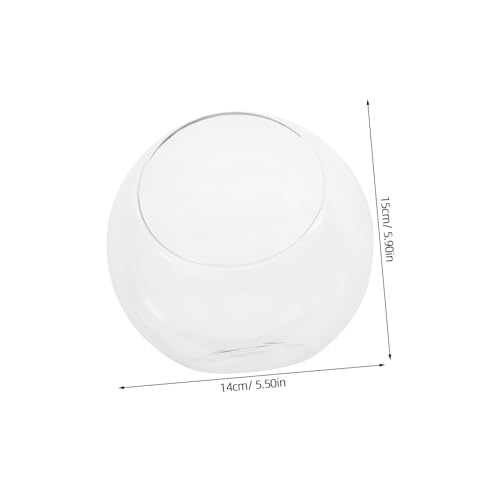 INOOMP Micro Landscape Glasvase Schräg Geschnittener Sukkulenten Terrarium Pflanzgefäß DIY Hydroponik Pflanzer Klarglas Dekoration für Zuhause Büro INOOMP Micro Landscape Glasvase Schräg Geschnittener Sukkulenten Terrarium Pflanzgefäß DIY Hydroponik Pflanzer Klarglas Dekoration für Zuhause Büro von INOOMP