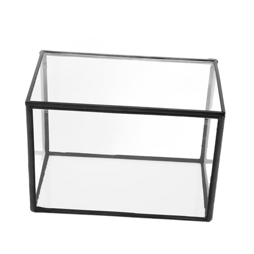 INOOMP Glas Terrarium Landschaft Display Pflanzer Schwarz Zink Tisch Schmuck Für Hause von INOOMP