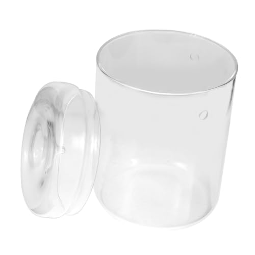 INOOMP Moos Terrarium Blumenvase Glas Vermehrung Für Pflanzen Landschaftsbau Pflanzer Flasche Für Zu Hause von INOOMP