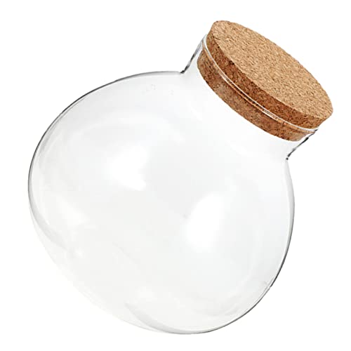 INOOMP Mikrolandschaftsdekor Kreisvase Terrarienglas Mit Deckel Dekorativer Mikro-landschaftsbehälter Snacks Glas Vorratsflasche Mikrolandschaft Ökologische Flasche Pflanzenterrarium Kork INOOMP Mikrolandschaftsdekor Kreisvase Terrarienglas Mit Deckel Dekorativer Mikro-landschaftsbehälter Snacks Glas Vorratsflasche Mikrolandschaft Ökologische Flasche Pflanzenterrarium Kork von INOOMP