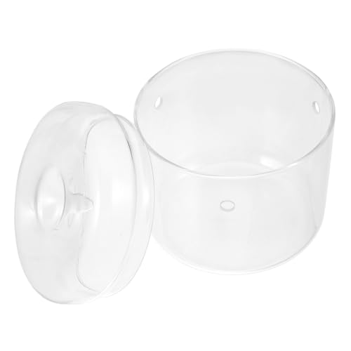 INOOMP Miniatur-pflanzenterrarium Aus Glas Moos-landschaftsbehälter Winziges Terrarium für Büro Heimdekoration Landschaft INOOMP Miniatur-pflanzenterrarium Aus Glas Moos-landschaftsbehälter Winziges Terrarium für Büro Heimdekoration Landschaft von INOOMP
