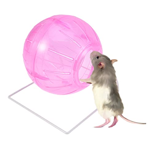 INOOMP Multifunktionale Hamsterlaufkugel Mit Ständer Bewegungsball Für Kleine Haustiere Für Hamster Mäuse Und Nager in Sorgt Für Gesunde Und Spielspaß von INOOMP