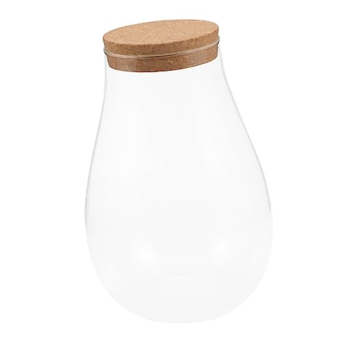 INOOMP Moos-öko-Flasche Mikrolandschaft Terrarienflasche Terrarienglas Groß Landschaft Flasche Pflanzgefäße Für Zimmerpflanzen Mini Fisch Pflanze Terrarium Glas Zierflaschen Hölzern INOOMP Moos-öko-Flasche Mikrolandschaft Terrarienflasche Terrarienglas Groß Landschaft Flasche Pflanzgefäße Für Zimmerpflanzen Mini Fisch Pflanze Terrarium Glas Zierflaschen Hölzern von INOOMP