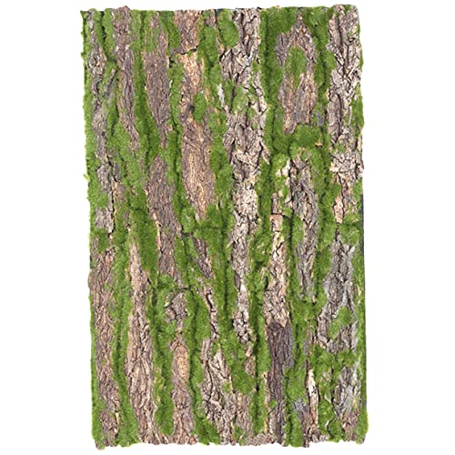 INOOMP Reptilien Klettermatte Aus Kork Natürlicher Terrarium-Hintergrund Für Schlangen Echsen Und Andere Reptilien Dekorative Für Sichere INOOMP Reptilien Klettermatte Aus Kork Natürlicher Terrarium-Hintergrund Für Schlangen Echsen Und Andere Reptilien Dekorative Für Sichere von INOOMP