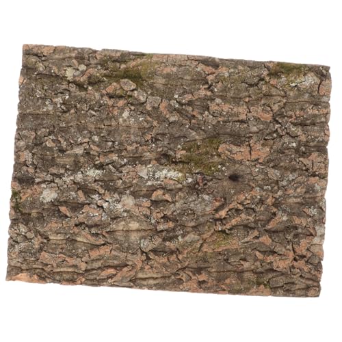 INOOMP Natürliche Korkrinde Terrarium Hintergrund Kletterplattform für Reptilien Eidechsen Schlangen Schildkröten Terrarium Dekoration Langlebig Kratzfest INOOMP Natürliche Korkrinde Terrarium Hintergrund Kletterplattform für Reptilien Eidechsen Schlangen Schildkröten Terrarium Dekoration Langlebig Kratzfest von INOOMP