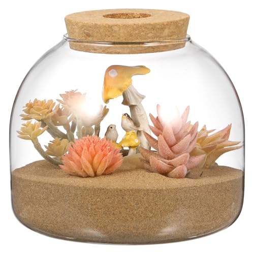 INOOMP Öko-Flaschenornamente Vasenfisch Pflanzen Behälter mit Deckel Globen bürodeko schlafzimmerdeko blumenbank tischdeckenklammern Ökosystembehälter Terrarienpflanzen Glas Transparent von INOOMP
