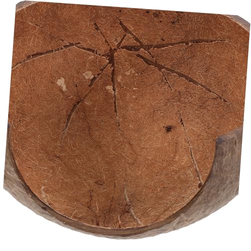 INOOMP Reptilienversteck aus Kokosnussschale Feuchtigkeitsbewahrende Höhle mit Sicherer Plattform für Schildkröten Eidechsen Einsiedlerkrebse Geeignet als Terrarien Aquariumdekoration INOOMP Reptilienversteck aus Kokosnussschale Feuchtigkeitsbewahrende Höhle mit Sicherer Plattform für Schildkröten Eidechsen Einsiedlerkrebse Geeignet als Terrarien Aquariumdekoration von INOOMP