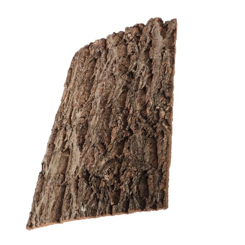 INOOMP Rinde-Hintergrundtafel Hintergrund aus Korkrinde Reptilienbett Korkenrinde natürliche Korkrinde Reptil Kork Kletterrinde der Schildkröte Rinde Terrarium Hintergrund Holz Kaffee INOOMP Rinde-Hintergrundtafel Hintergrund aus Korkrinde Reptilienbett Korkenrinde natürliche Korkrinde Reptil Kork Kletterrinde der Schildkröte Rinde Terrarium Hintergrund Holz Kaffee von INOOMP