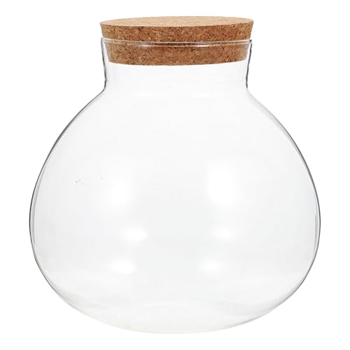 INOOMP Rundes Glasgefäß-Terrarium: Sukkulenten-Pflanzenflasche mit Korkdeckel, Knospenvase, Glas, Nachricht, Hydrokulturbehälter für Moos, Sukkulenten, Luftpflanzen, Mikrolandschaft, Süßigkeiten von INOOMP