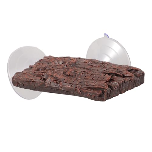 INOOMP Schildkröte Sonnenplattform Reptil Schildkröte Zubehör für Tank Sonnenplattform Aquarium Tasse INOOMP Schildkröte Sonnenplattform Reptil Schildkröte Zubehör für Tank Sonnenplattform Aquarium Tasse von INOOMP
