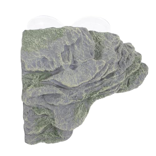 INOOMP Kletterrampe für Schildkrötenbecken Sonnenplattform Ruheterrasse für Wasserschildkröten Zubehör für Reptilienbecken Simulationsgras Schildkrötenrampe Sonnendock für Wasserschildkröten INOOMP Kletterrampe für Schildkrötenbecken Sonnenplattform Ruheterrasse für Wasserschildkröten Zubehör für Reptilienbecken Simulationsgras Schildkrötenrampe Sonnendock für Wasserschildkröten von INOOMP