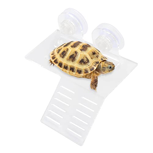 INOOMP Turtle Basking Platform Für Aquarien Transparente Schwimmende Schildkrötenplattform Mit Saugnäpfen s Für Sonnenbaden Und Klettern Reptilienhabitaten von INOOMP