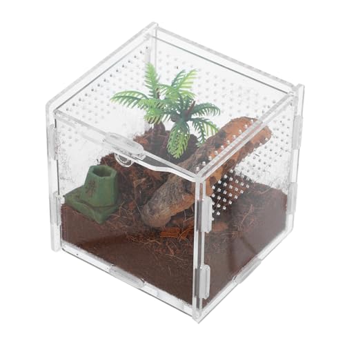 INOOMP Hochtransparente Reptilienzuchtbox Für Springspinnen Und Eidechsen Kunststoff Futterbox Sicher Und Platzsparend 9x9x9.5cm Terrarium Für Kleine Haustiere von INOOMP
