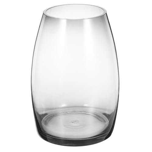 INOOMP Terrarium Für Moospflanzen Transparenter Pflanzenhalter Aus Glas Mikro Landschaftsglas Desktop Terrarium Tisch Betta Tank von INOOMP