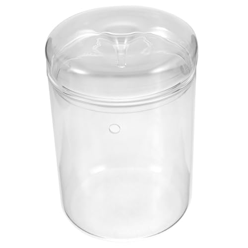 INOOMP Terrarium Micro Landschaft DIY Flasche Klarer Pflanzenhalter für Tischdekoration Büro Wohnzimmer Balkon Garten Kompakte Glasvase für Moos und Kleine Pflanzen von INOOMP
