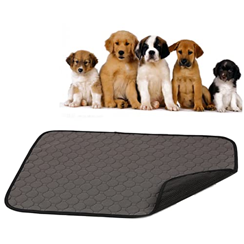 INOOMP Haustier-PIPI-Pads für Hunde und Katzen Waschbar Wiederverwendbar Grau Größe S Welpen-trainingspad Leicht Zu Reinigen INOOMP Haustier-PIPI-Pads für Hunde und Katzen Waschbar Wiederverwendbar Grau Größe S Welpen-trainingspad Leicht Zu Reinigen von INOOMP