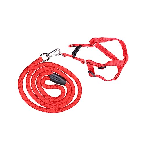 INOOMP Einstellbares Hundegeschirr Mit Robuster Zugleine Leuchtendem Rot Komfortabler Tragegurt Für Große Und Kleine Hunde Für Im Freien XXL INOOMP Einstellbares Hundegeschirr Mit Robuster Zugleine Leuchtendem Rot Komfortabler Tragegurt Für Große Und Kleine Hunde Für Im Freien XXL von INOOMP