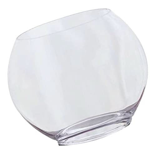 INOOMP Transparentes Ökologisches Aquarium Trifle Bowl Glas Fischglasvase Winzige Behälter Mikrolandschaftsflasche Moos Ökologische Flasche Fisch Aquarium Dekoration Blumentopf Pflanze von INOOMP