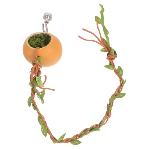 INOOMP Versteck für Springspinnen: Seilbrücke für Springspinnen, Kletterplattform, Versteck, Höhle, Hängematte, Unterschlupf, kleines, Hauszubehör für die Dekoration von Gehegen Kleiner Tiere INOOMP Versteck für Springspinnen: Seilbrücke für Springspinnen, Kletterplattform, Versteck, Höhle, Hängematte, Unterschlupf, kleines, Hauszubehör für die Dekoration von Gehegen Kleiner Tiere von INOOMP