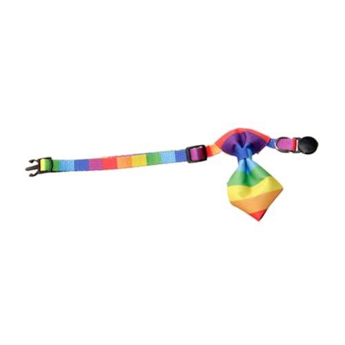 INOOMP Verstellbares Katzenhalsband mit Regenbogen Schleife Atmungsaktives und Sicheres für und Kleine Hunde für Partys und Anlässe INOOMP Verstellbares Katzenhalsband mit Regenbogen Schleife Atmungsaktives und Sicheres für und Kleine Hunde für Partys und Anlässe von INOOMP