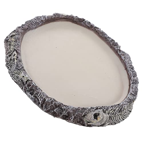 INOOMP Reptilien Futter Und Wassernapf Aus Hochwertigem Resin rutschfeste Futterschale Für Eidechsen Schildkröten Und Schlangen Leicht Zu Reinigen Für Terrarien von INOOMP