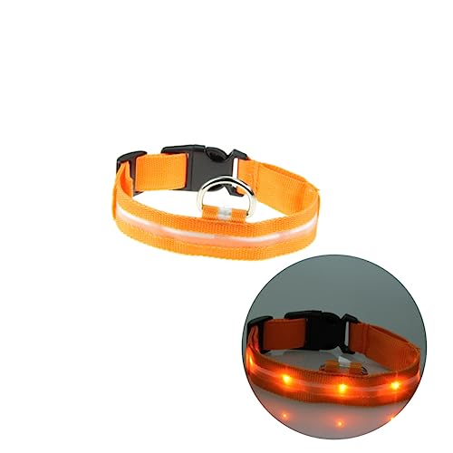 INOOMP blinkendes Haustierhalsband LED-Leuchthalsband für Haustiere Nylon-Halsband für Haustiere Hundehalsband in XL-Größe runden beleuchteter Kragen LED-Haustierhalsband Blitz Siebdruck von INOOMP