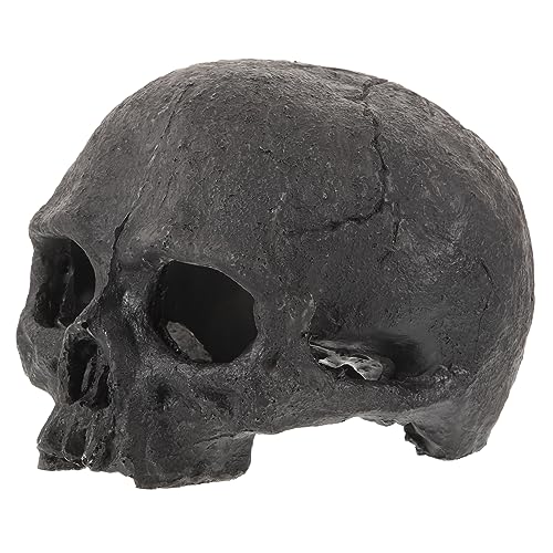 INOOMP -harzornamente Bausatz -Aquarium- Aquarium-höhlen- Fischbecken Versteck Maske Tank Ruhehöhle Für Aquarien Tropische Aquarienverzierungen Black INOOMP -harzornamente Bausatz -Aquarium- Aquarium-höhlen- Fischbecken Versteck Maske Tank Ruhehöhle Für Aquarien Tropische Aquarienverzierungen Black von INOOMP