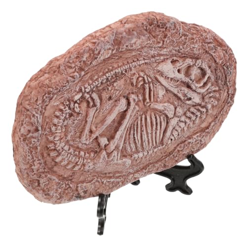 INOOMP Dinosaurier-probenstein Reptilien- Mit Robustem Harz Ideal Für Den Naturwissenschaftlichen Unterricht Und Als Dekoration von INOOMP