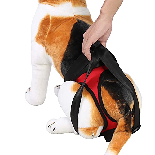 2 Types Geschirr für Hunde, Hebehilfe beim Gehen, Hebeweste für alte verletzte Hunde, vorne und hinten, 4017 (Größe: Hinterbein) von INPETS