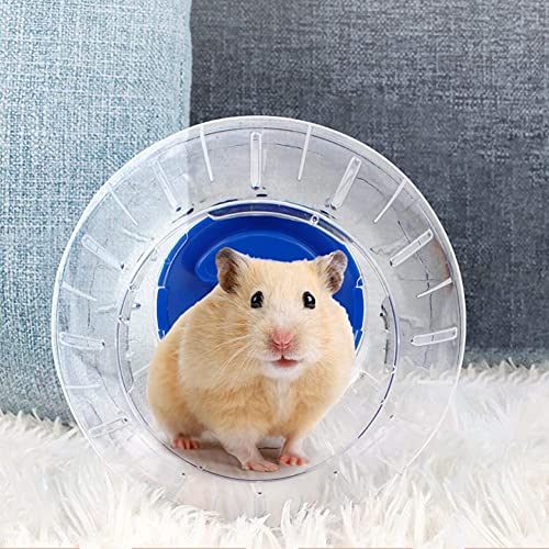 Hamsterball, 12 cm, kleines Tier, Hamster, Runningball, Hamster, Übung, Ball aus Kunststoff, Hamster, Roll-Around, Mini-Ball zur Entlastung von Hamstern, Rennmäuse, langweilig und erhöht die Hamsterball, 12 cm, kleines Tier, Hamster, Runningball, Hamster, Übung, Ball aus Kunststoff, Hamster, Roll-Around, Mini-Ball zur Entlastung von Hamstern, Rennmäuse, langweilig und erhöht die von INPETS