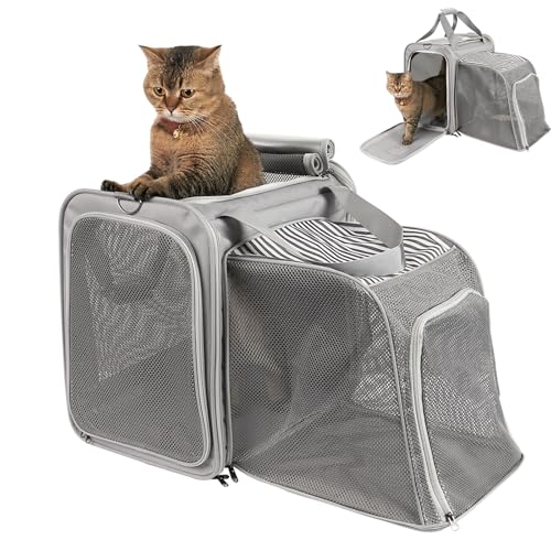 Katzentragetasche mit Katzentoilette – tragbare große Katzentrage für Katzen und kleine Hunde für Autoreisen, erweiterbare Haustiertragetasche bis zu 9 kg für Autoreisen, Camping oder Hotel Katzentragetasche mit Katzentoilette – tragbare große Katzentrage für Katzen und kleine Hunde für Autoreisen, erweiterbare Haustiertragetasche bis zu 9 kg für Autoreisen, Camping oder Hotel von INRLKIT