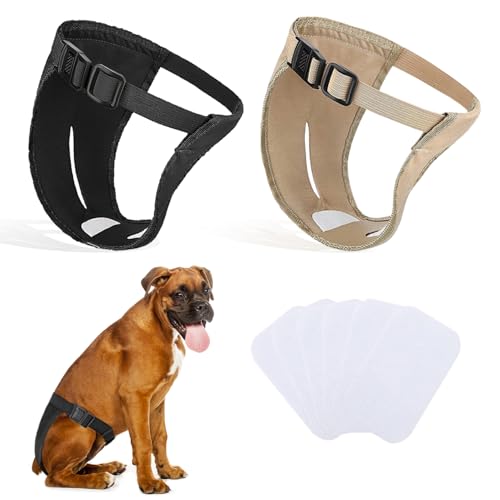 2er-Pack Hundehosen, Hundewindeln mit 6 Damenbinden, verstellbare Schutzhose für Hündinnen bei Hitze, monatliche Blutungen, wiederverwendbar, waschbar, Hygienehose für Hunde (2XL – schwarz und Kamel) von INSPUTOL