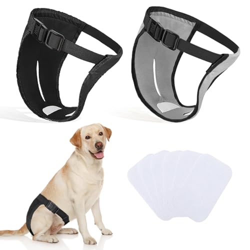 2er-Pack Hundehosen, Hundewindeln mit 6 Damenbinden, verstellbare Schutzhose für Hündinnen bei Hitze, monatliche Blutungen, wiederverwendbar, waschbar, Hygienehose für Hunde (L-schwarz&grau) von INSPUTOL