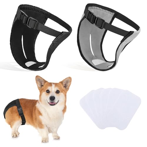 2er-Pack Hundehosen, Hundewindeln mit 6 Damenbinden, verstellbare Schutzhose für Hündinnen bei Hitze, monatliche Blutungen, wiederverwendbar, waschbar, Hygienehose für Hunde (M-schwarz&grau) von INSPUTOL